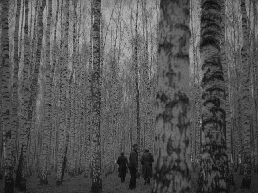 Ivan's Childhood (1962)