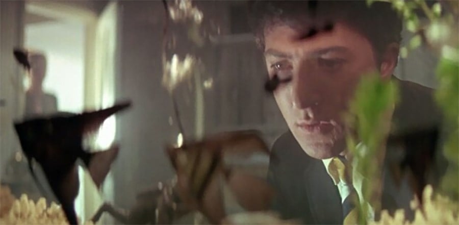 The Graduate (1967)