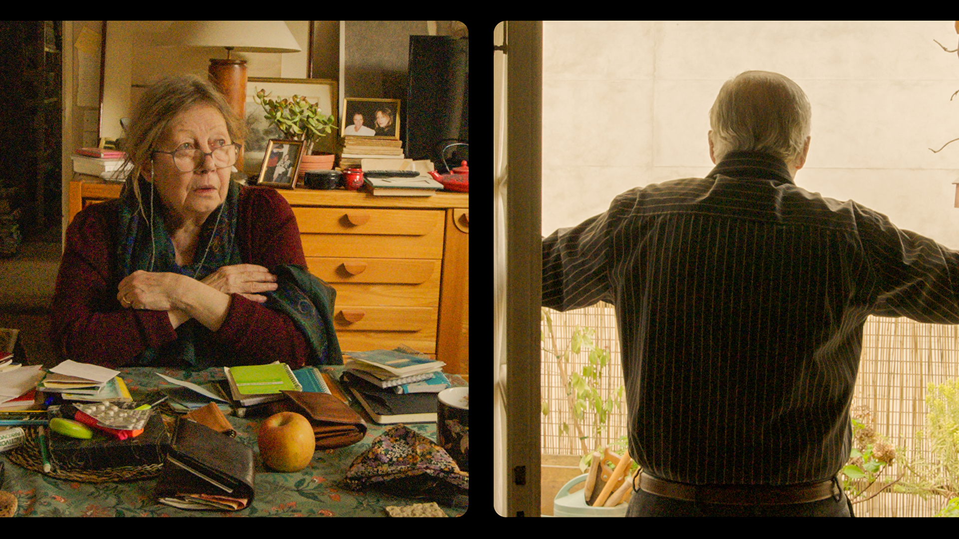 Gaspar Noé on 'Vortex' and 'Lux Aeterna