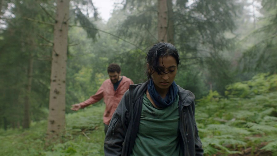 In The Earth (2021)