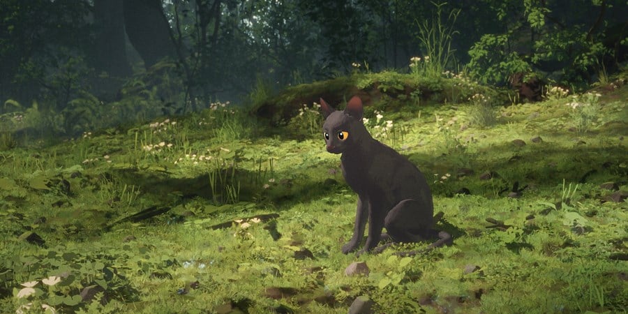 Best cats on film